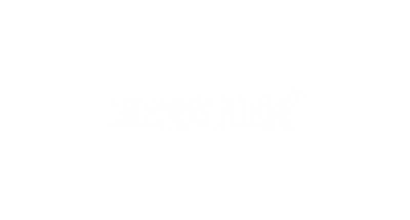 Logo de Bergner