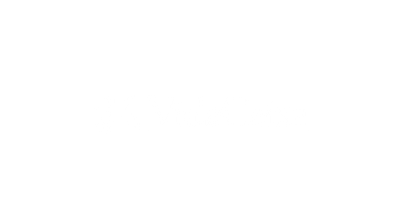 Logo de VidaCaixa